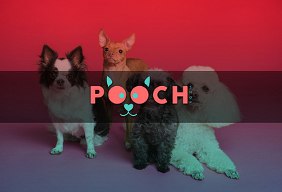 "Pooch Perfect: A Playful Pet Branding Concept" animal logo brand identity graphic designer logo