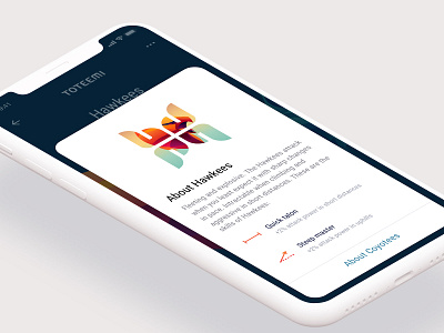 Toteemi App: Hawkee educational bottom sheet animal app design game hawk interface mobile sport totem ui ux