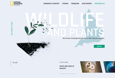 Landing Page-Wildlife & Plants adobe xd animals design enviroment landingpage logo nature photoshop protect uidesign uxdesign web webdesig website wildlife