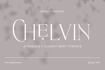 Chevin Serif branding calligraphy design headline modern poster pretty quotes stylish wedding