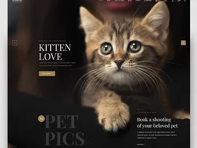 Kitten Love Website Design kitten landing page landing page concept landingpage screendesign ui ui design uiux webdesign