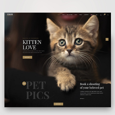 Kitten Love Website Design kitten landing page landing page concept landingpage screendesign ui ui design uiux webdesign