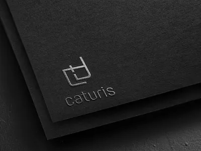 Logo Caturis Design art branding design flat illustration logo minimal type typography vector