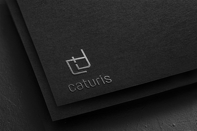 Logo Caturis Design art branding design flat illustration logo minimal type typography vector