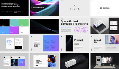 Korol Framework brand guidelines brand guides brand standards brand style guide cannabis cannabis branding cannabis logo framework style guide styleguide