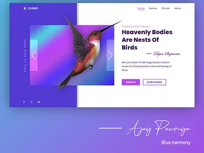Bird website header section design adobexd design header ui ux webdesign website design