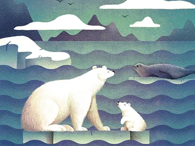 Polar Bears bear ice illustration polar bear sea seal