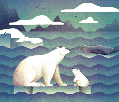 Polar Bears bear ice illustration polar bear sea seal