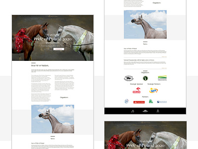 Pride of Poland beauty clear design ui ux www