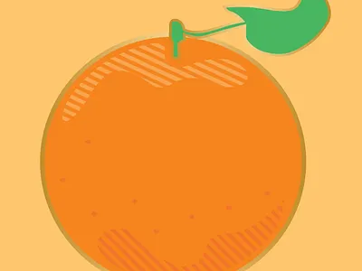 Orange Illustration food fruit illustration