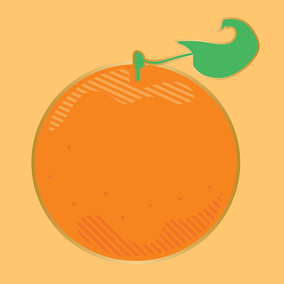 Orange Illustration food fruit illustration