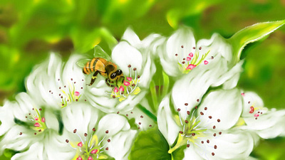 Spring art bee flower green handpainted illustration procreate spring white