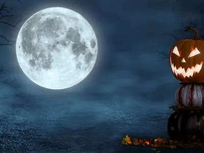 halloween design halloween halloween design halloweensmile illustrator ui ux