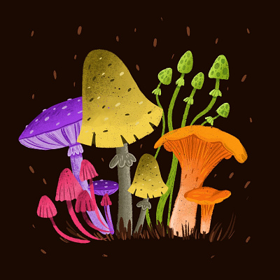 mushrooms art artwork cozy illustraion illustration illustrator mushroom procreate