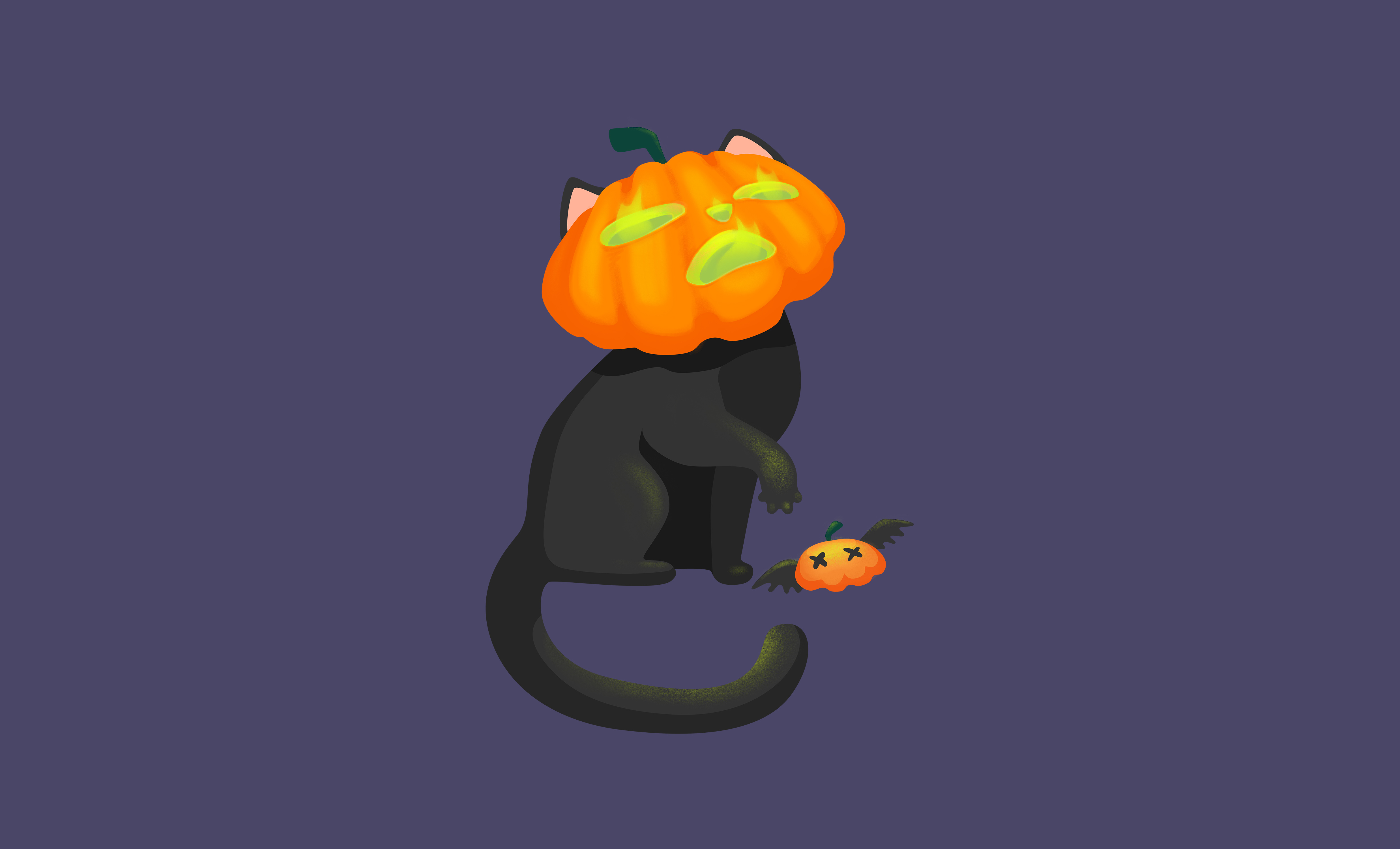 Example of Pumpkin Cat