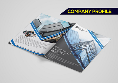 Company Profile broshure company company profile company profile design illustration profile