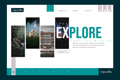 TRIPSZILLA | TRAVEL AGENCY | LANDING PAGE | HALASH agency landing page design designer designs homepage interface landingpage ui uidesign webdesign website