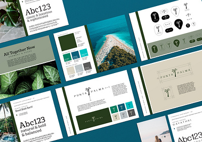 Punta Palma Brand Development brand design branding branding design design logo logo design logodesign