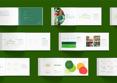 Herencia de Campo Branding Manual branding branding and identity branding guidelines design flat illustration logo manual de marca vector