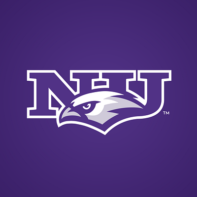 Niagara University Purple Eagles branding college sports eagle logo sports logo
