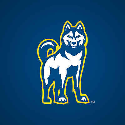 Huskie Mascot Logo Concept branding college sports huskies logo sports logo