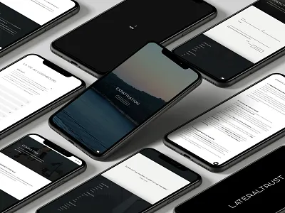 UI/UX - lateraltrust.com - Lateraltrust - Mobile design design 2020 finance iphone mobile mobile design mobile ui paczek phone theopaczek ui ui design ux ux design web webapp webdesign website