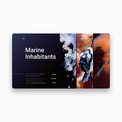 Oceanarium concept dark dark ui design desktop interface interface design landingpage minimal ocean site ui webdesign website