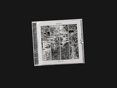 BRIZZLI | CD cover album art cd cd artwork cover art ep cover ink art ink drawing ink illustration music album music art