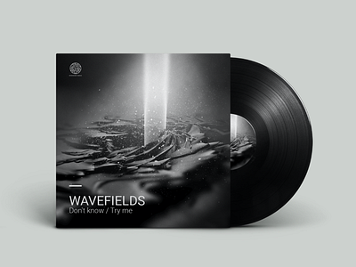 Wavefields 3d artwork design graphic design iridescent light music sound vinyl visual design