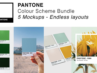 Pantone Colour Mockup Bundle