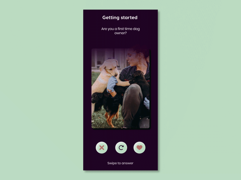 Doggo user onboarding animation after effects animation animated gif animation design dog dog app dogs illustration illustrator minimal shadan amir ui ux