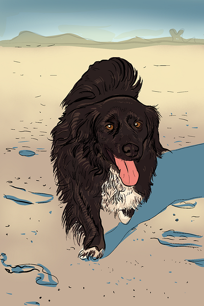 Sweeper on the beach cartoon colorful comics dog illustration