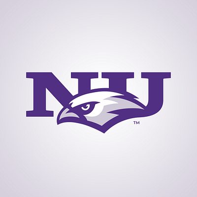 Niagara Purple Eagles branding college sports eagles logo sports logo