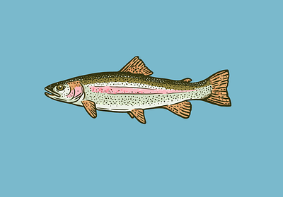 Rainbow animal apparel color drawing fish fishing fly fishing illustration pattern procreate rainbow rainbows screenprint trout