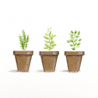 Herbs collage herbs illustration plants watercolor