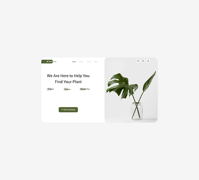 Buy Plants Online design ecommerce iconly landing ui ux website concept website design