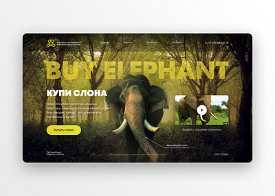 BUY ELEPHANT website buy design elephant elephants graphic design online shop site store ui web web design website