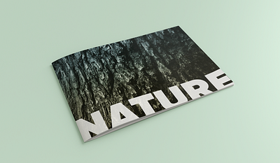 Nature Photography Zine natural nature nature photography photographer photography zine zinegraph zines