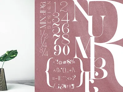 Wano Quin Elegant Serif Font 9 Family branding design font font awesome font design font family fonts letter typography ui
