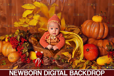 Newborn backdrop & Baby autumn backdrop 2suns baby backdrop digital paper halloween backdrop newborn backgrounds newborn photography newborn prop photo overlay photo prop photoshop overlay