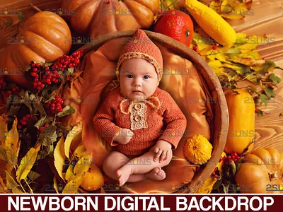 Newborn backdrop & Baby autumn backdrop 2suns baby backdrop halloween backdrop newborn backgrounds newborn photography newborn prop photo overlay photo prop photoshop overlay photoshop textures
