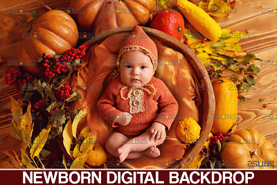 Newborn backdrop & Baby autumn backdrop 2suns baby backdrop halloween backdrop newborn backgrounds newborn photography newborn prop photo overlay photo prop photoshop overlay photoshop textures