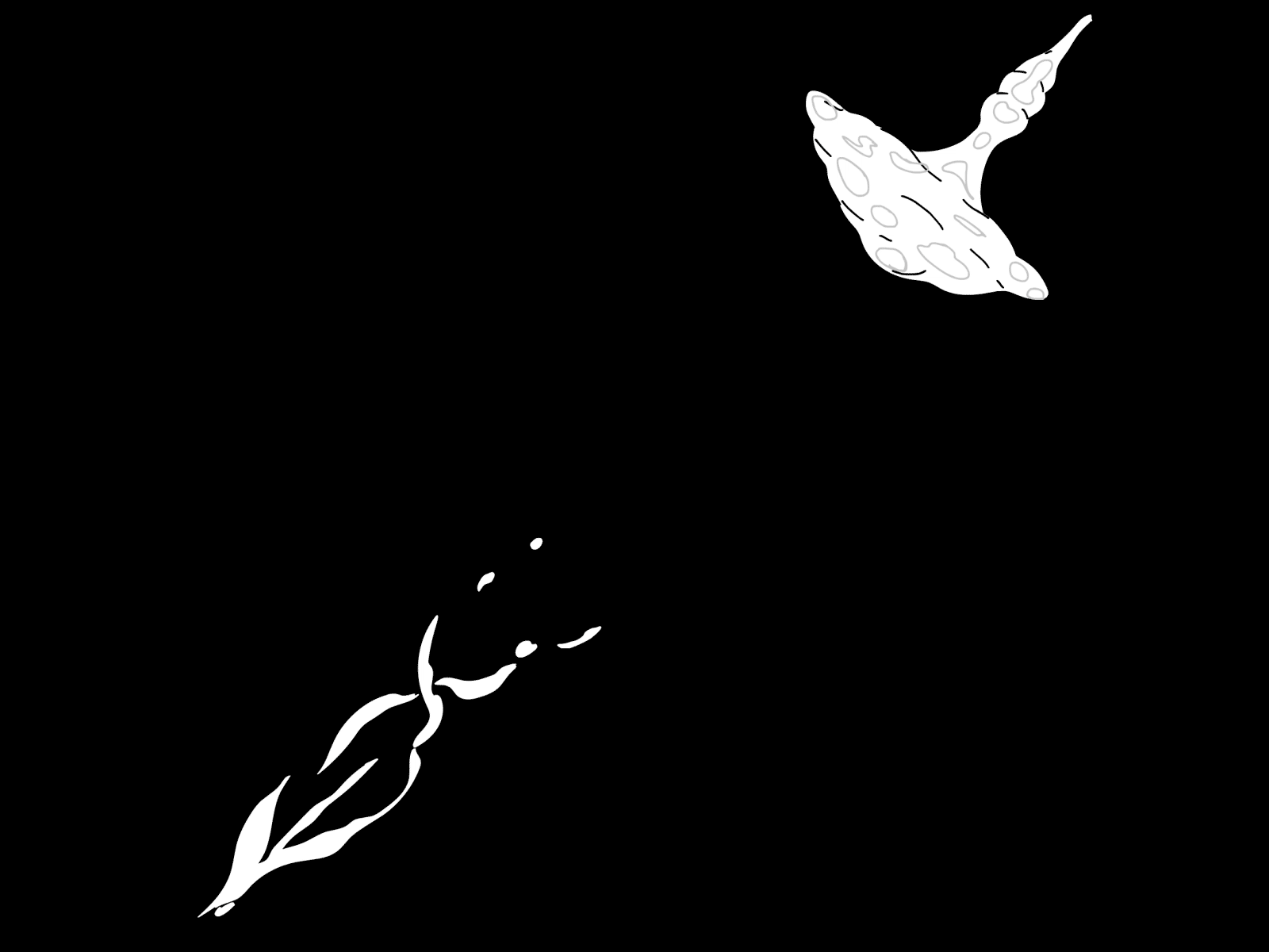 LIFELONGFICTION 2d animation biology blackandwhite cell flower futuristic illustration lifelongfiction liquid motion