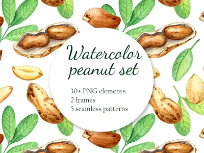 Watercolor peanut art artist botanical branding bright decor design food healthy illustration logo natural packaging vegan watercolor