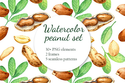 Watercolor peanut art artist botanical branding bright decor design food healthy illustration logo natural packaging vegan watercolor