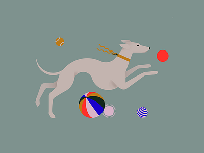 25. Buddy animal balls buddy dog doggo flat greyhound illustration inktober inktober2020 play puppet puppy running toys vectober vectober2020