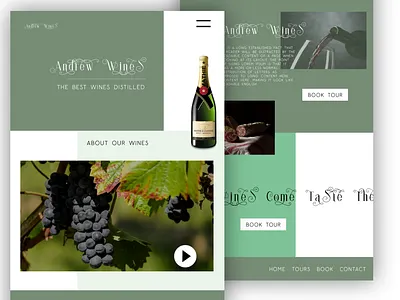 Andrew Wines design graphic design ui ux web web design website website concept website design