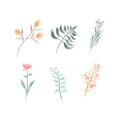 Watercolor floral elements animal art artwork boutique colorful design doodle doodleart drawing element floral florist flower illustration painting watercolor