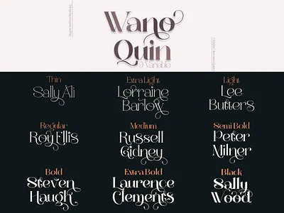 Wano Quin Elegant Serif Font Family branding design designer font font awesome font design font family fonts letter typography
