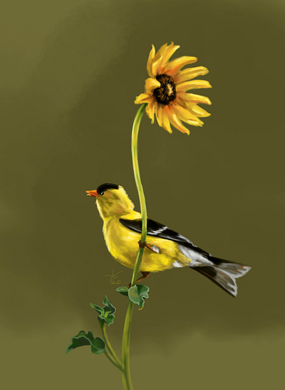 Monday birds digital art digital illustration drawing natural
